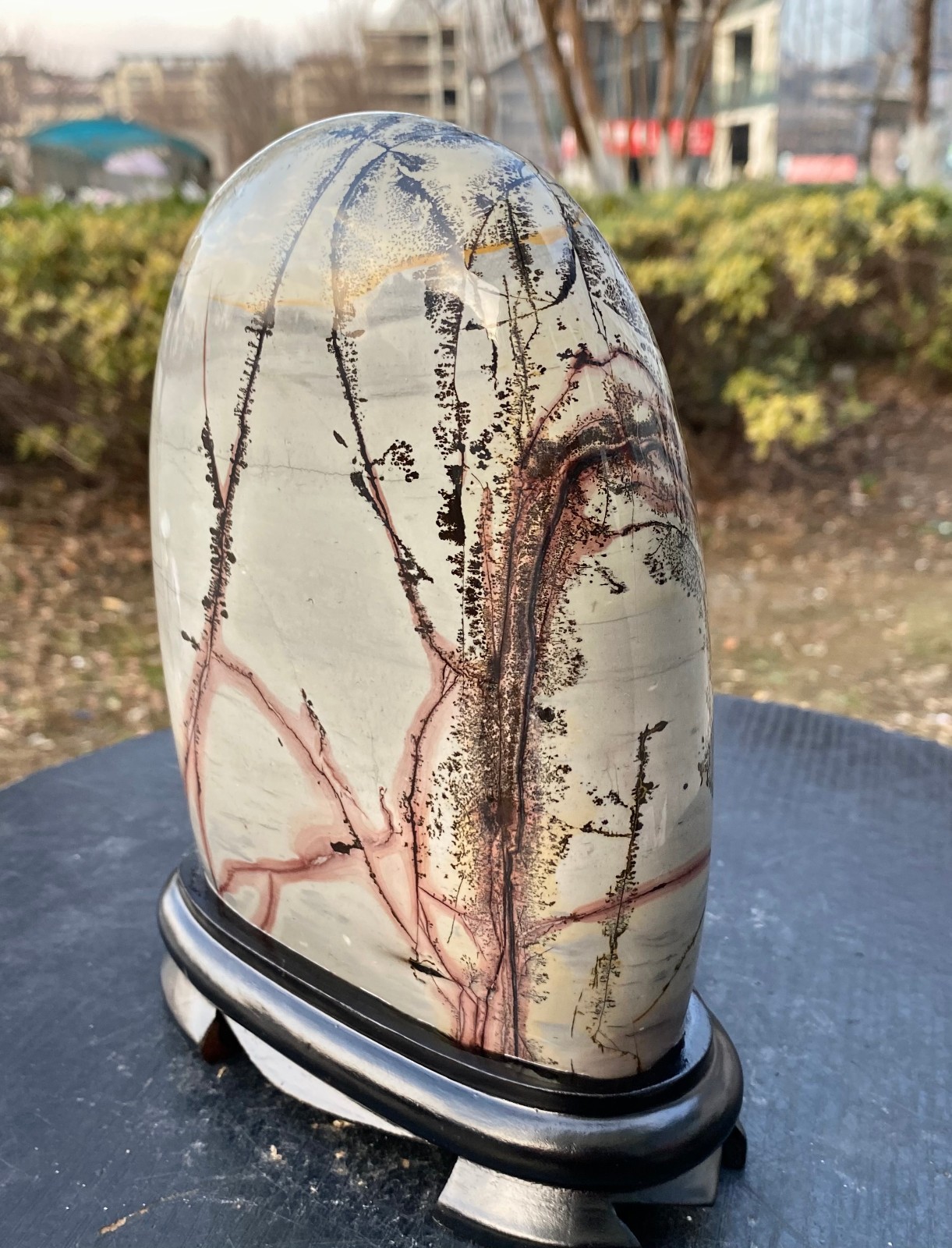 5.24LB Beautiful Natural Chinese Dendritic Limestone Picture Stone Guohua – Rare