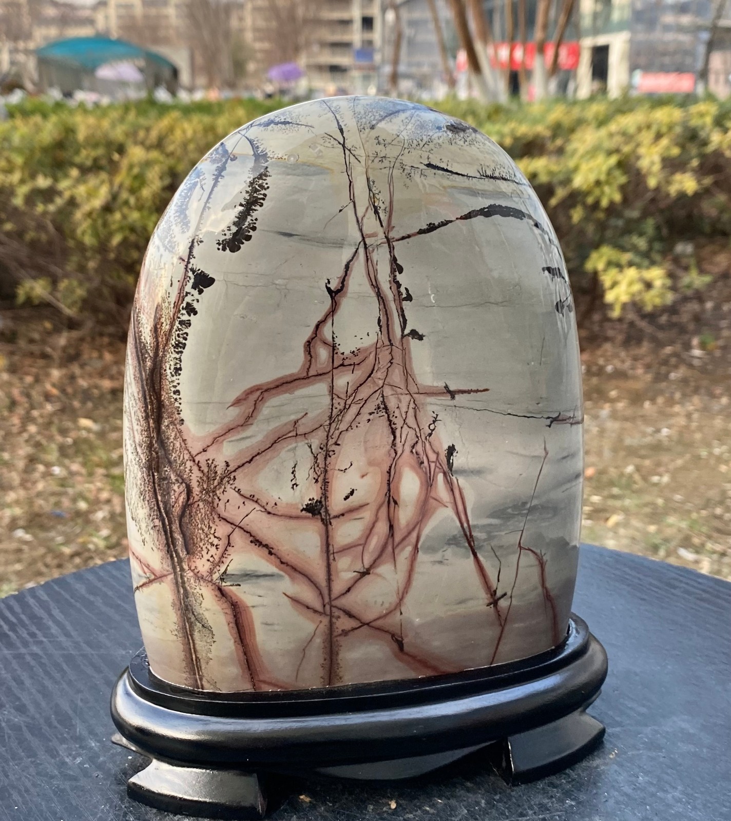 5.24LB Beautiful Natural Chinese Dendritic Limestone Picture Stone Guohua – Rare