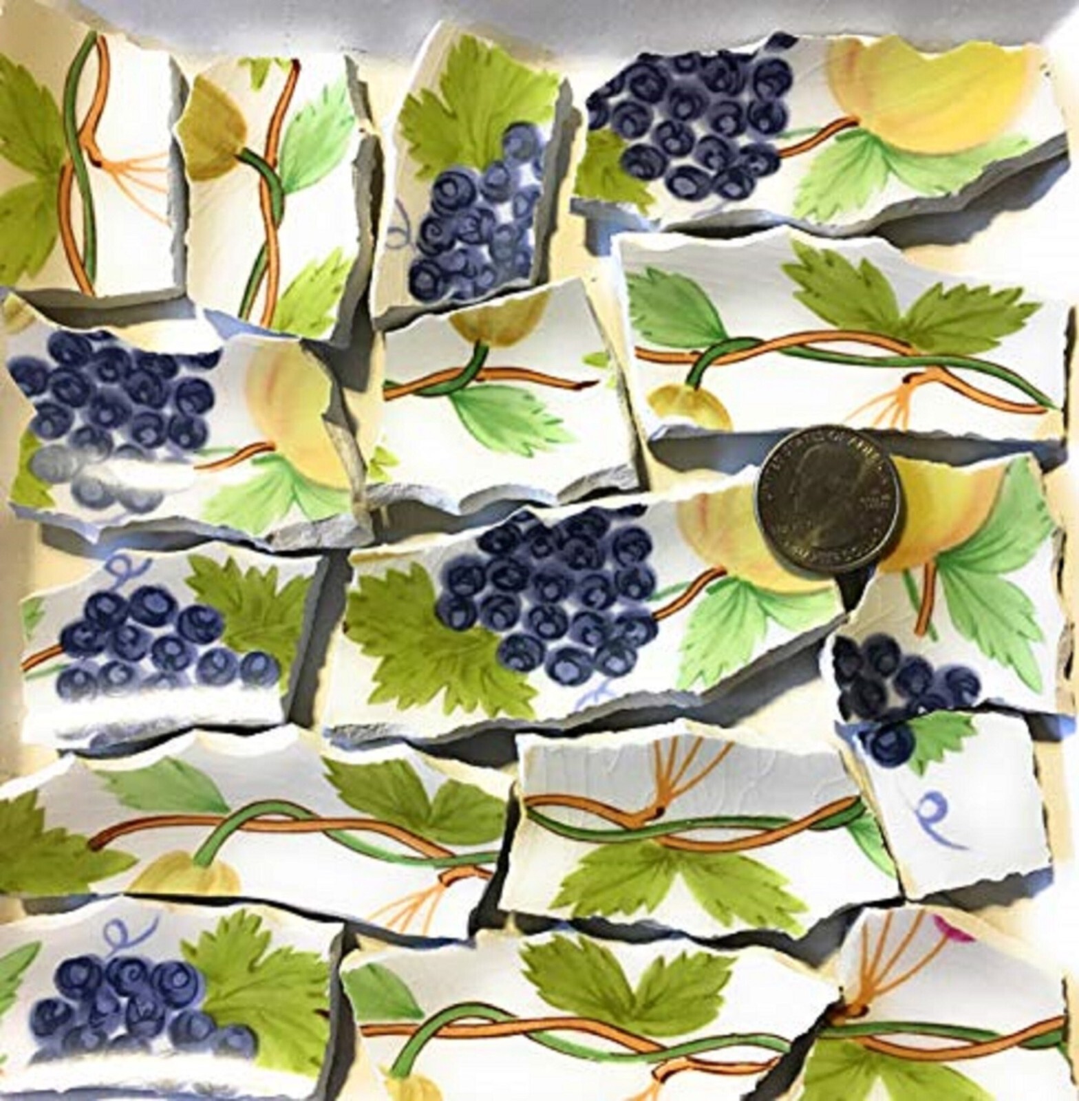 Broken China Mosaic Tile Arts and Craft Supplies – Fruit Tiles C403