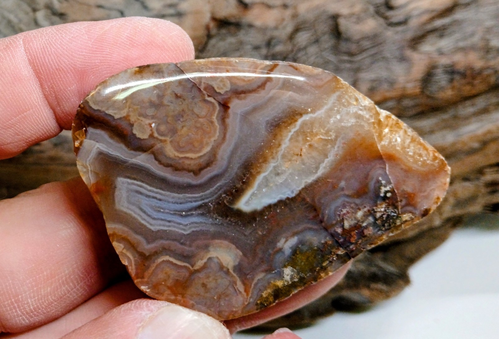 Big Pink & Purple Lake Superior Agate-Face Polished Wild Fortification & Mossy!