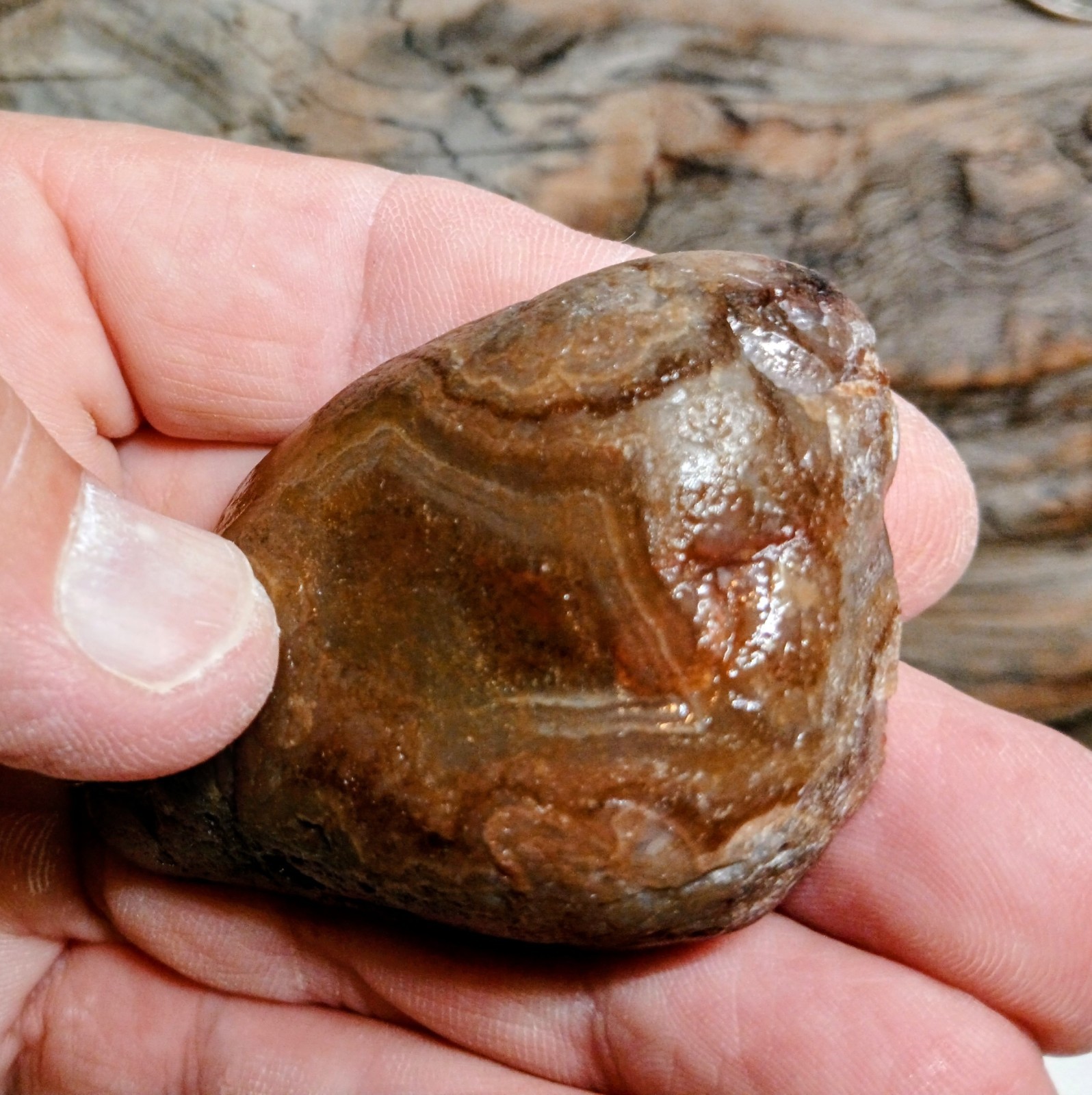 Big Pink & Purple Lake Superior Agate-Face Polished Wild Fortification & Mossy!