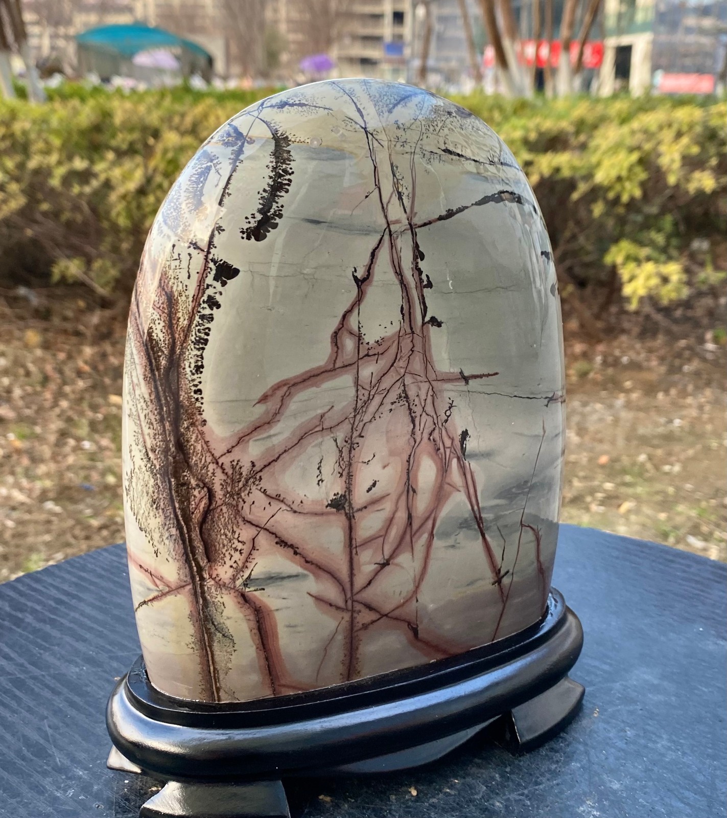 5.24LB Beautiful Natural Chinese Dendritic Limestone Picture Stone Guohua – Rare