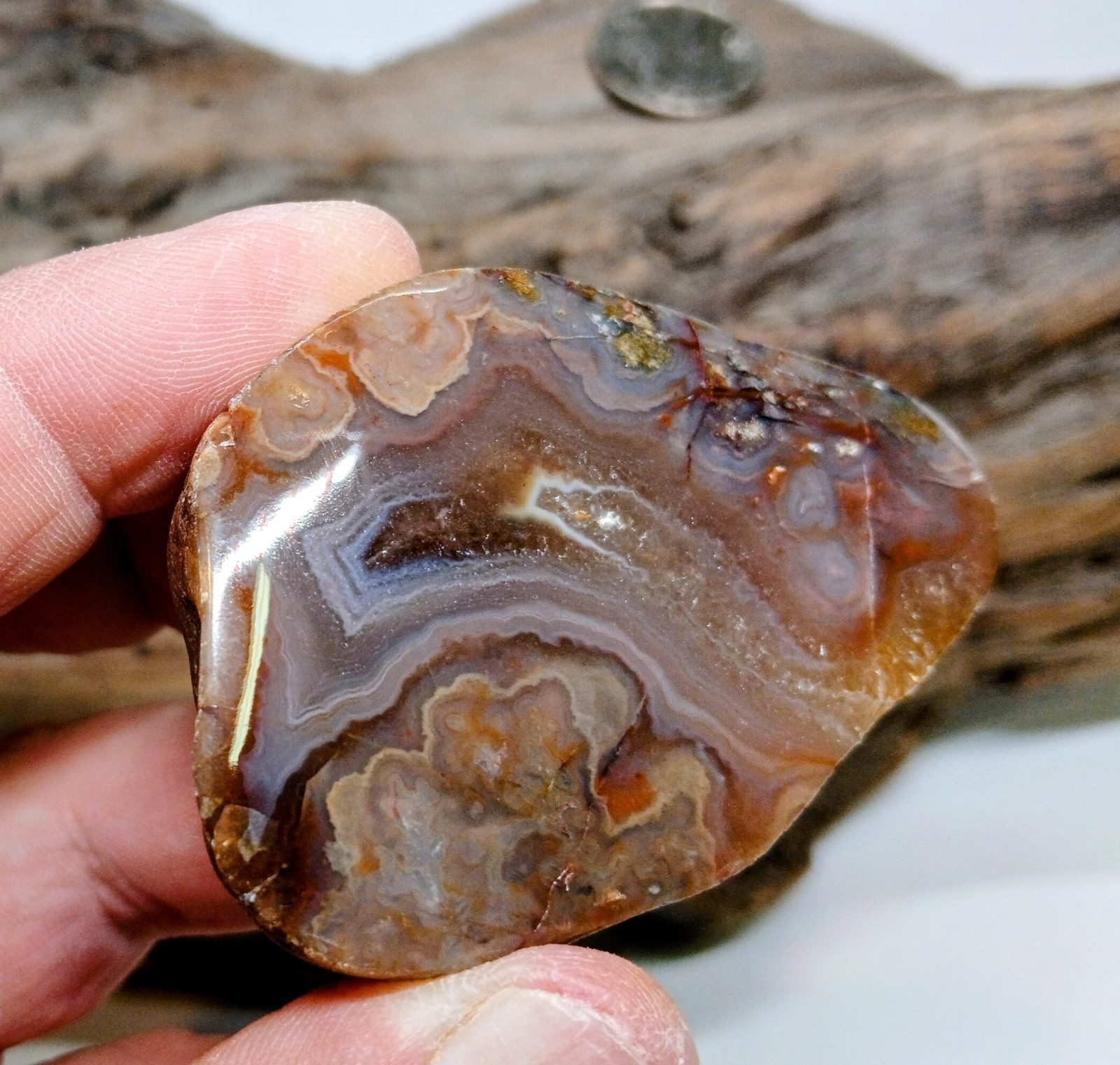 Big Pink & Purple Lake Superior Agate-Face Polished Wild Fortification & Mossy!