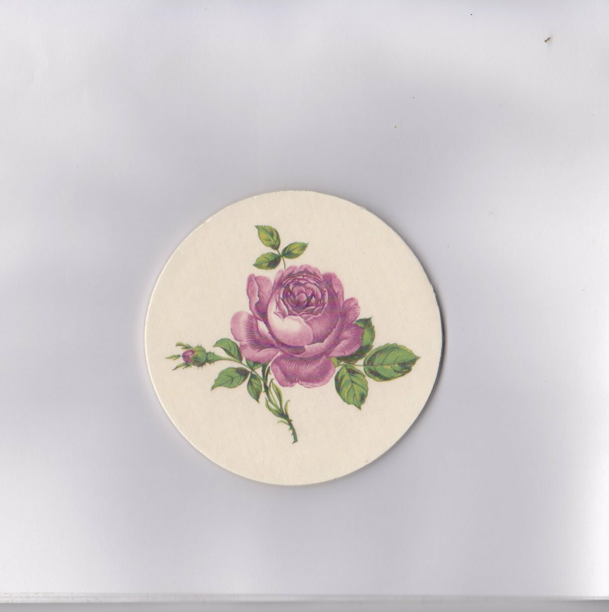 Mosaic Tiles Focal 1 big pink rose Round Shabby Garden Chic Fired Ceramic R554