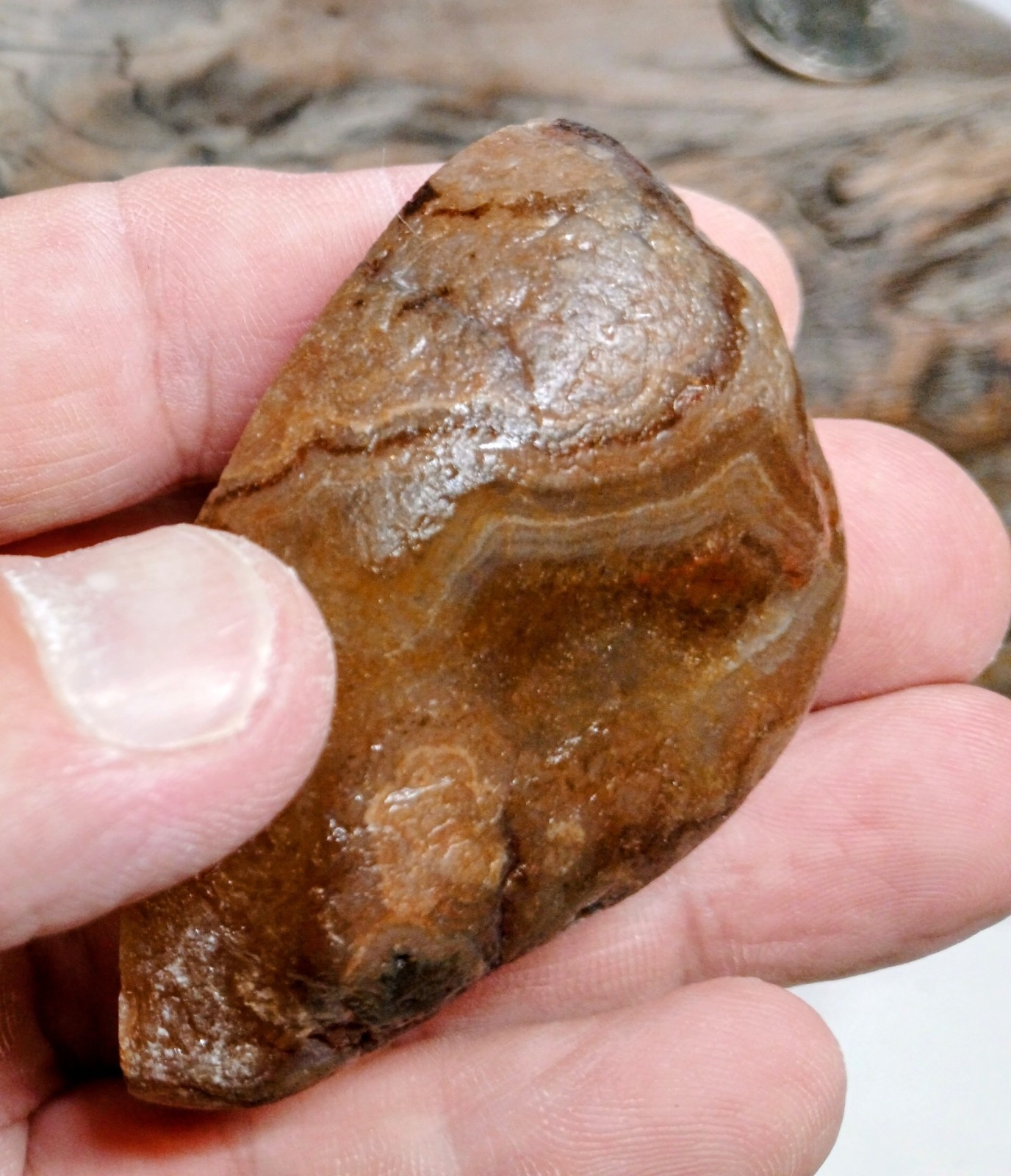Big Pink & Purple Lake Superior Agate-Face Polished Wild Fortification & Mossy!