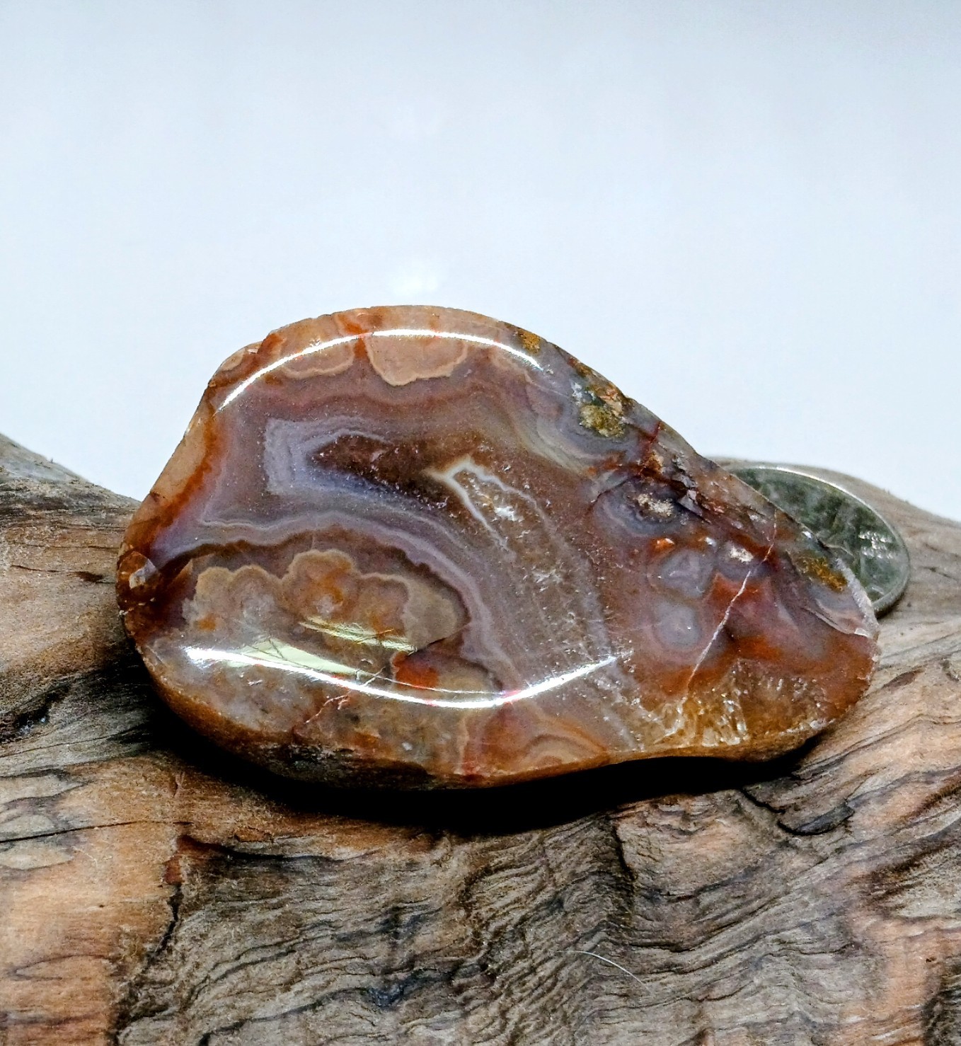 Big Pink & Purple Lake Superior Agate-Face Polished Wild Fortification & Mossy!