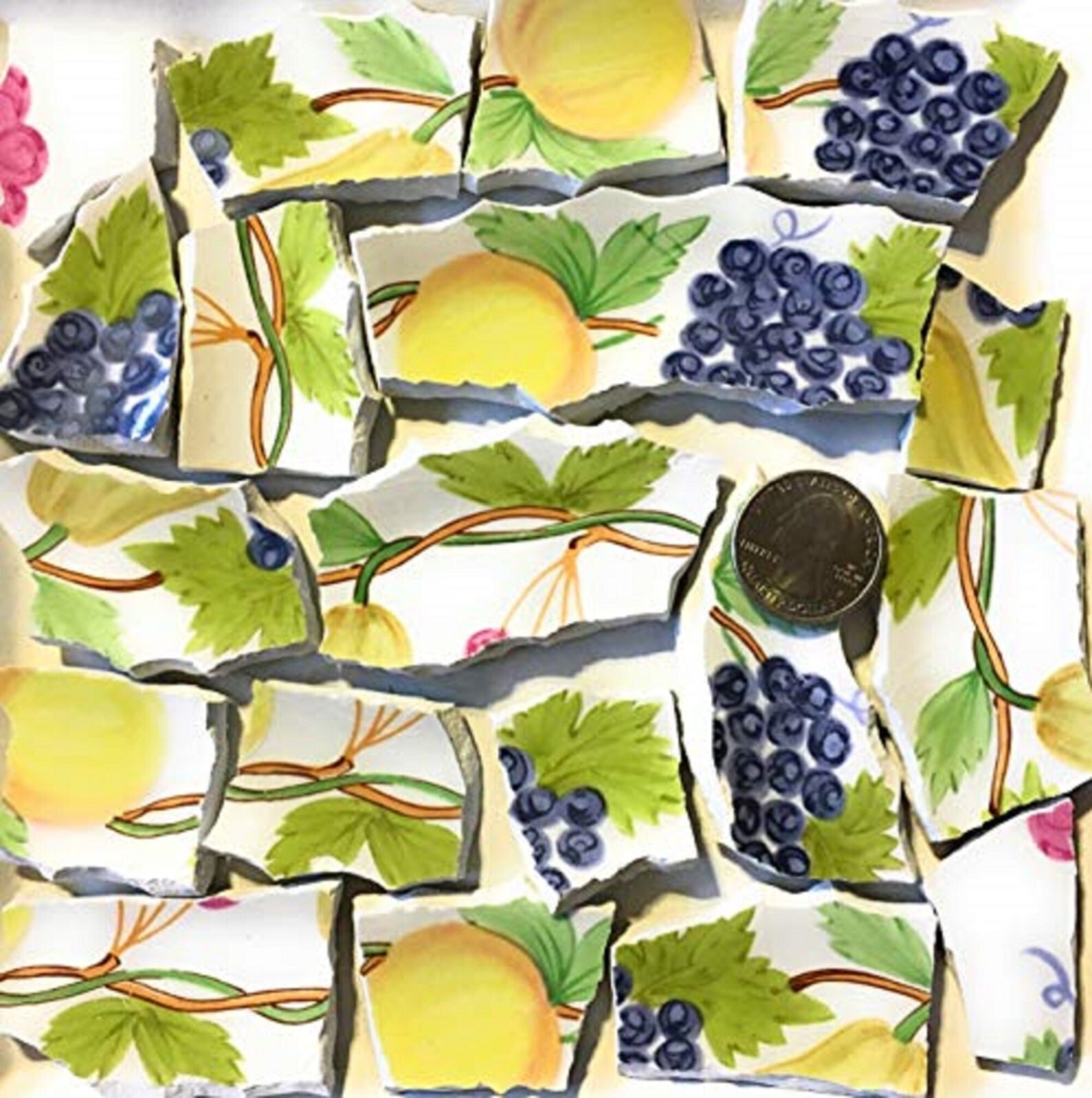 Broken China Mosaic Tile Arts and Craft Supplies – Fruit Tiles C402
