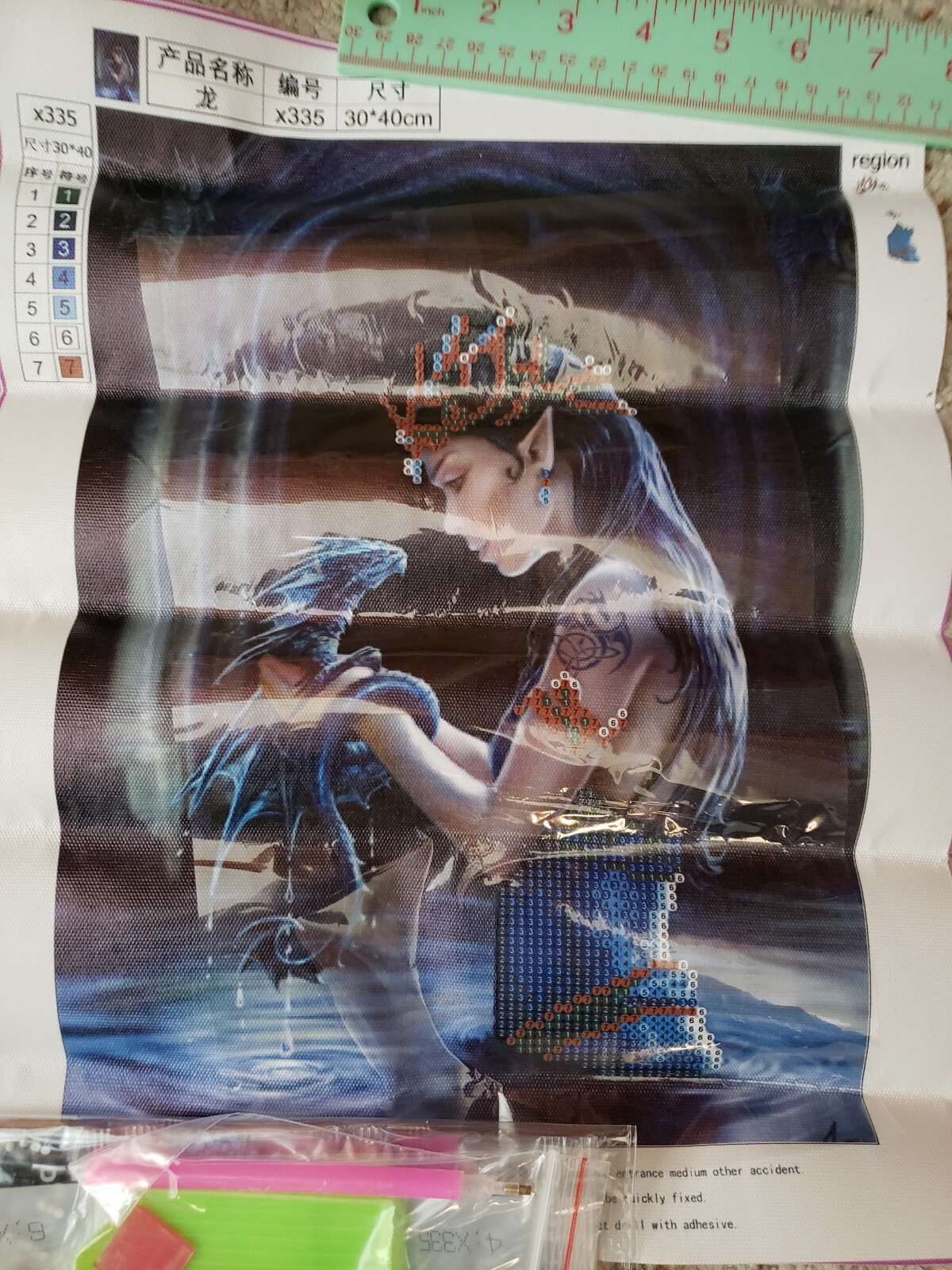 5D DIY Partial Round Drill Diamond Painting Elvan Girl Training Her Dragon 40×30