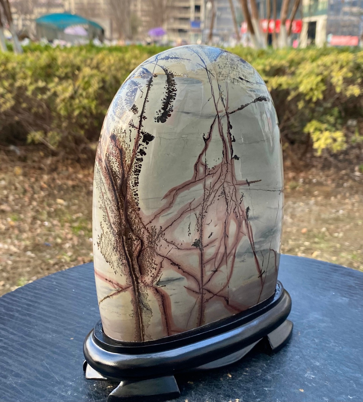 5.24LB Beautiful Natural Chinese Dendritic Limestone Picture Stone Guohua – Rare