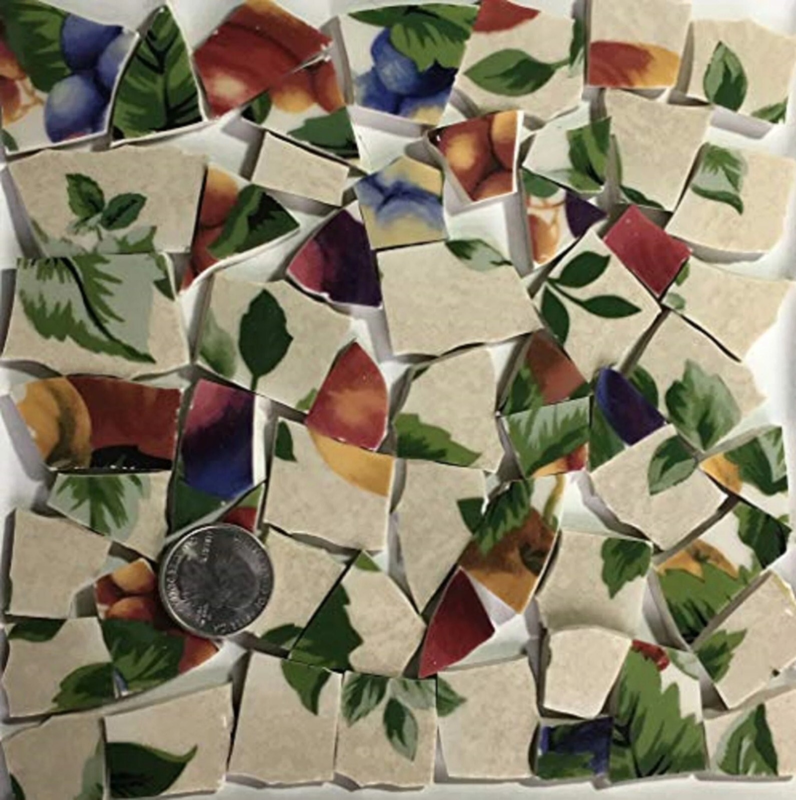 Broken China Mosaic Tile Arts and Craft Supplies – Colorful Fruit A655