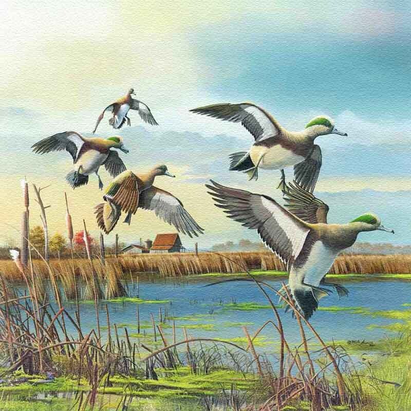 Duck Accent & Decor Tile Mike Brown Wildlife Art Glass Wall Floor MBA003AT