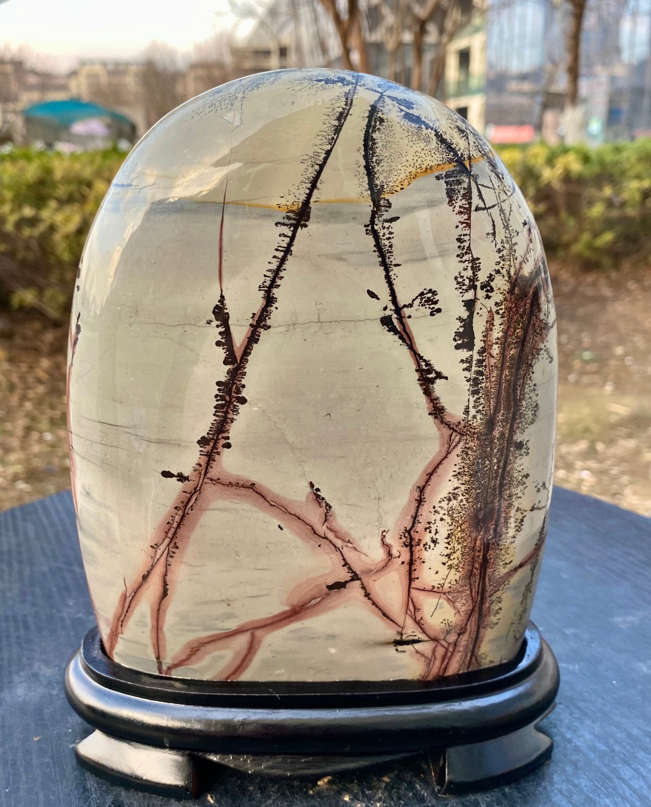5.24LB Beautiful Natural Chinese Dendritic Limestone Picture Stone Guohua – Rare